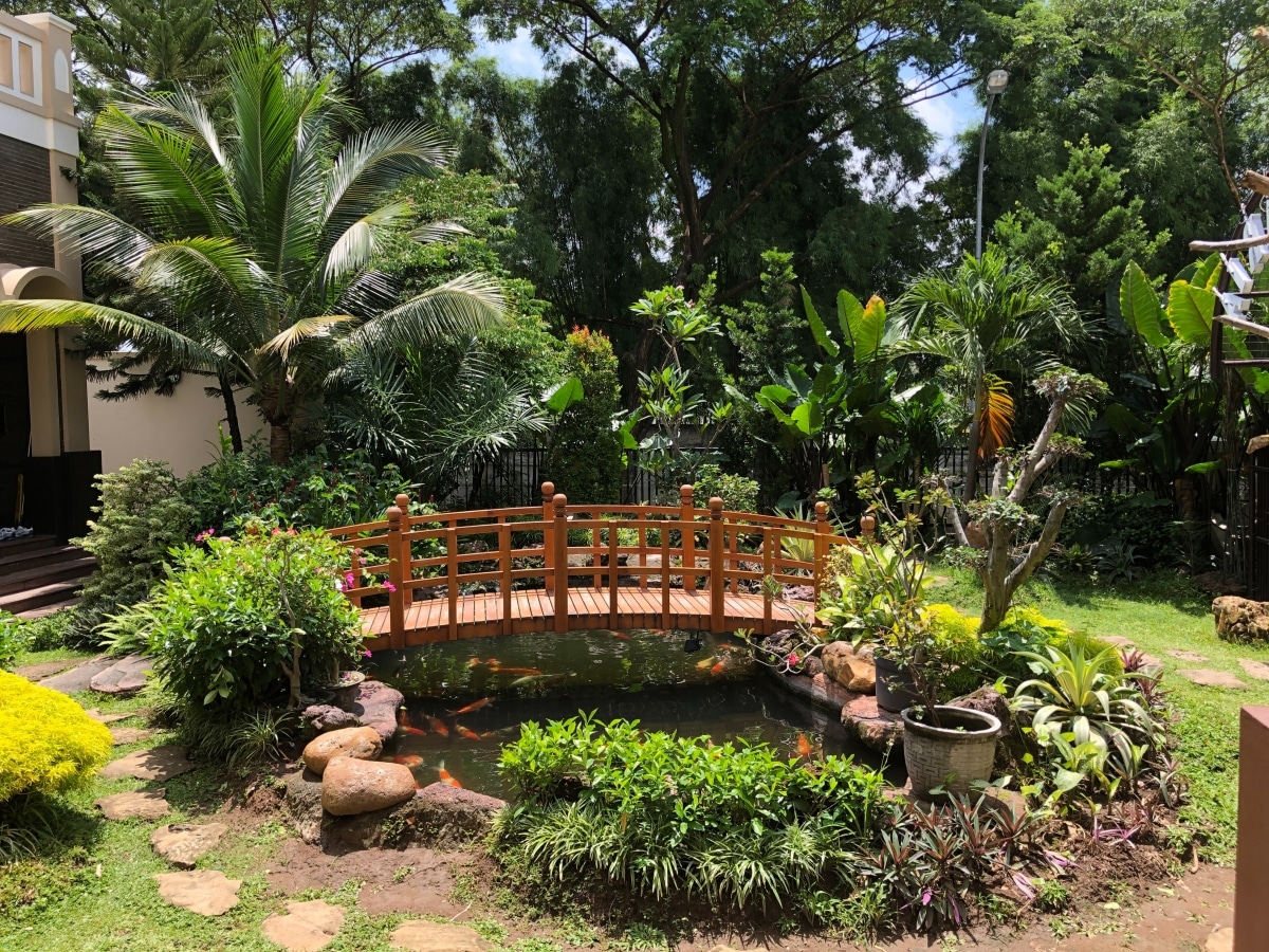 charming home koi pond