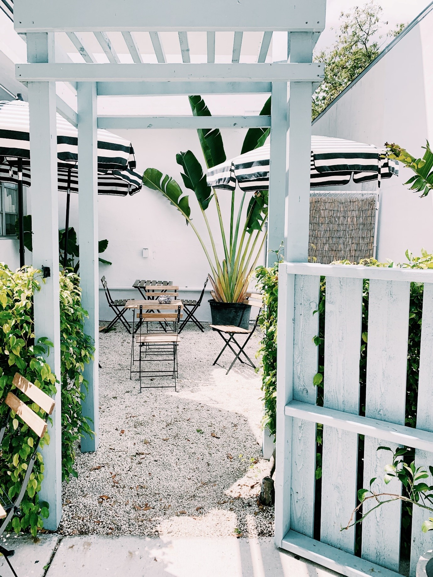 courtyard-gardens-black-and-white