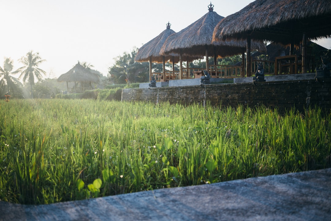 turf with a house