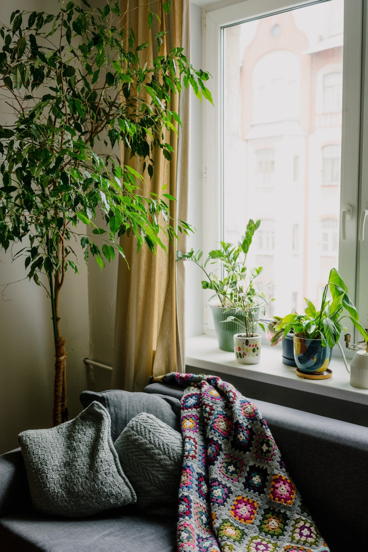 Plant situated in the corner of a bedroom