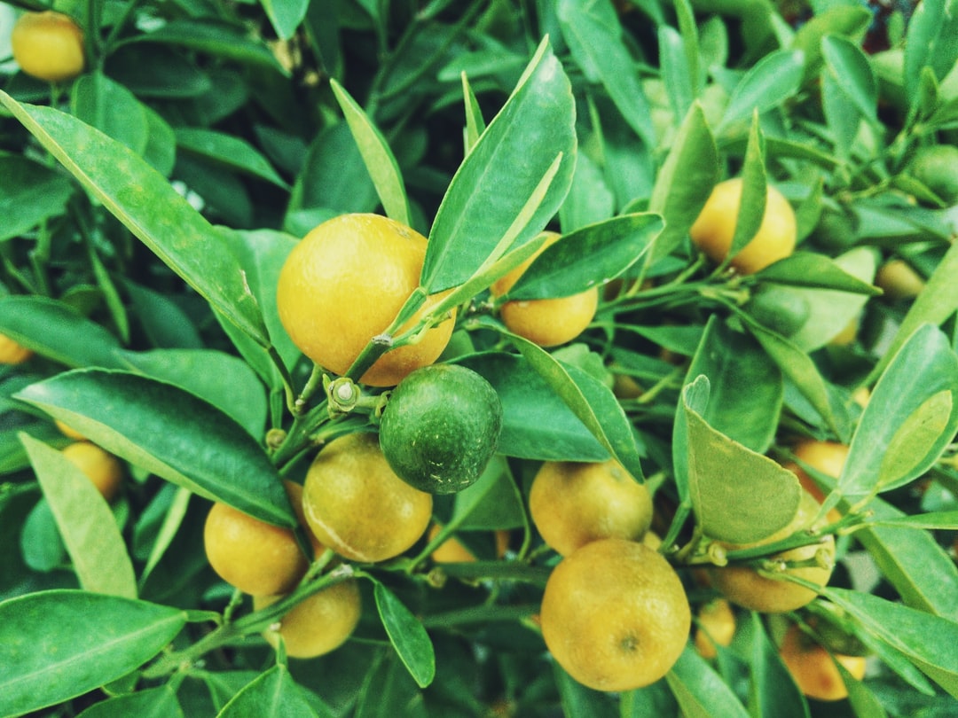 Bunched up lemons