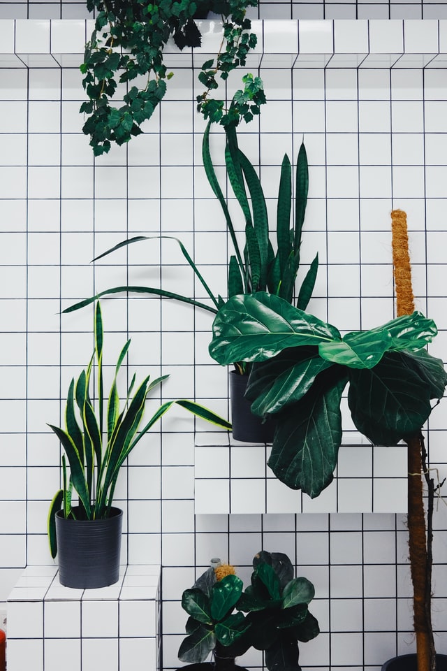 laundry-tiles-black-grout