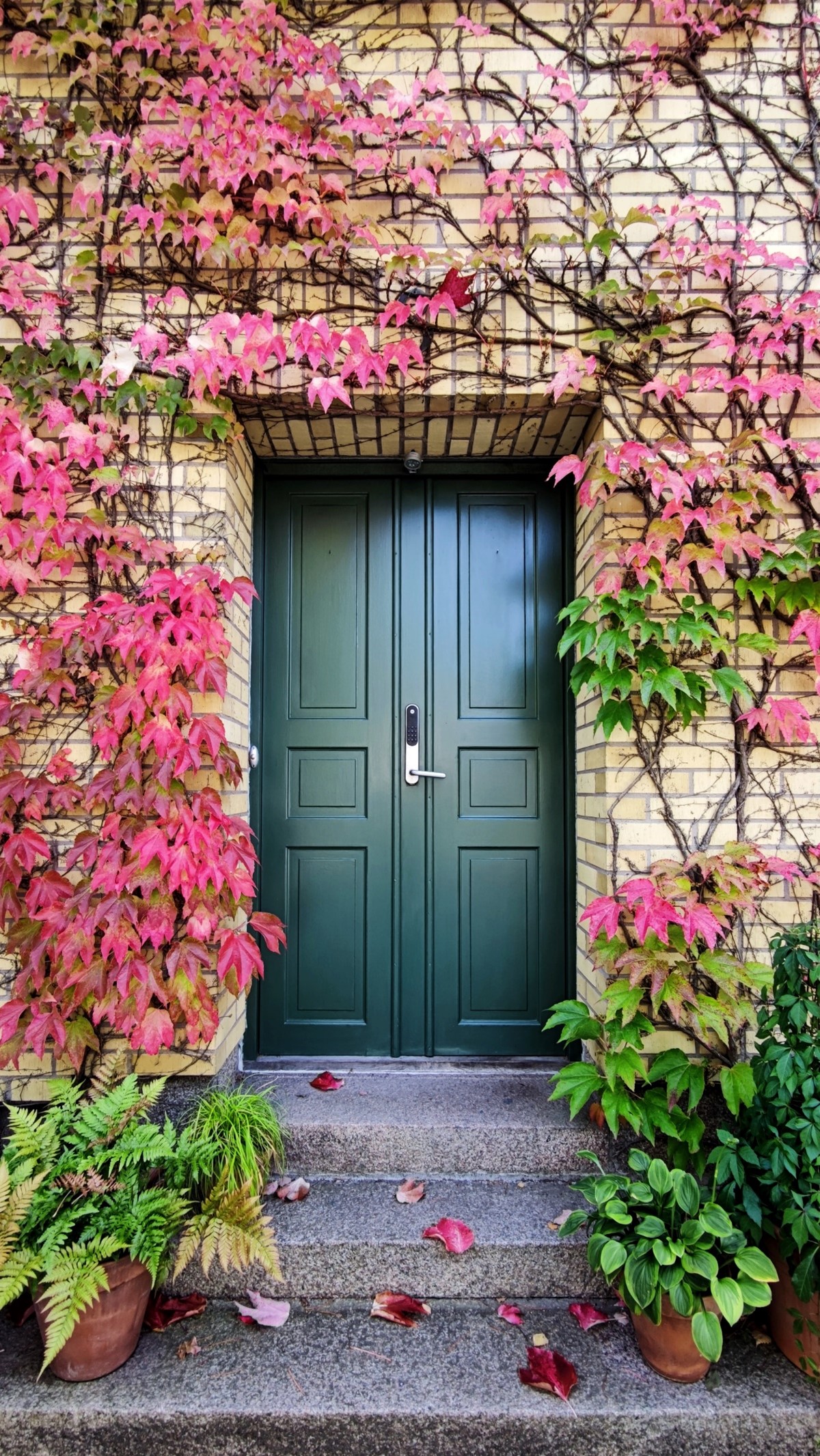 front-door-with-flowers