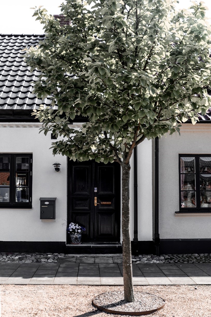 front-door-monochrome