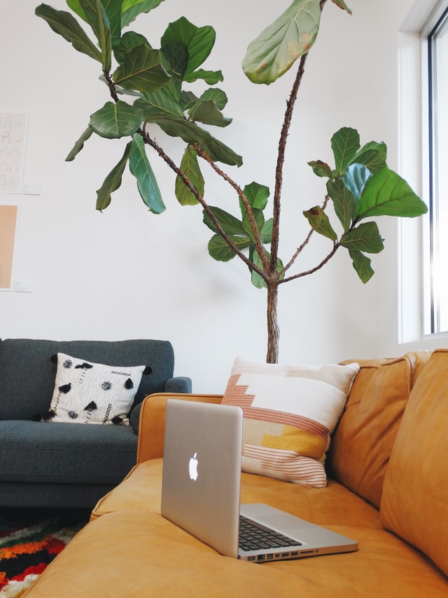 sunroom-ideas-natural-colours
