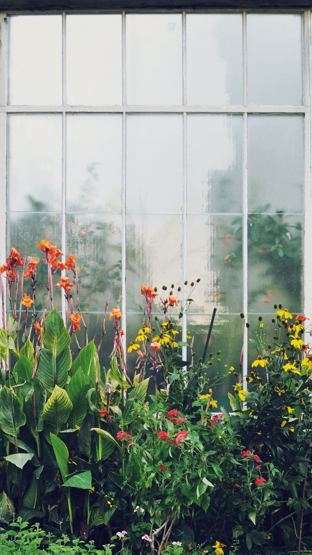 sunroom-ideas-frosted-glass