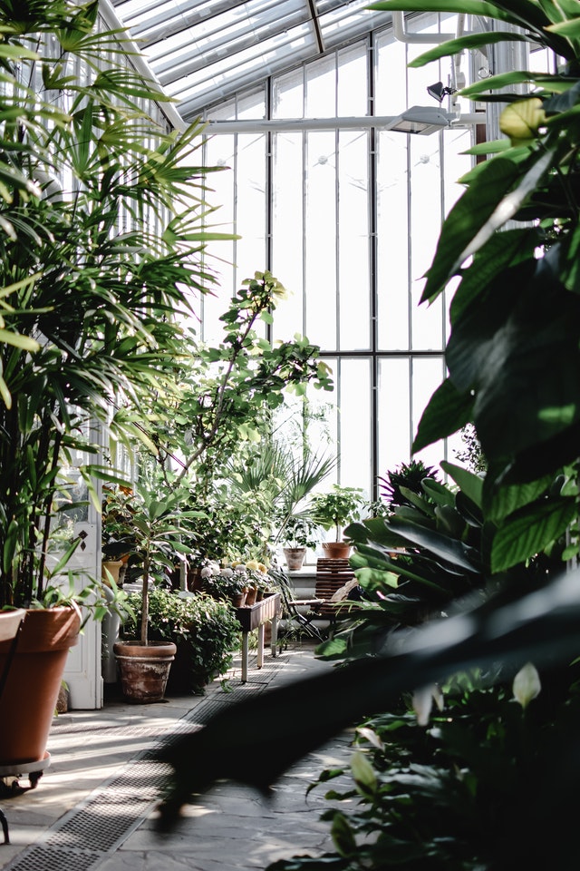 sunroom-ideas-conservatory