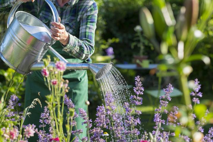 old woman watering plants in a garden
