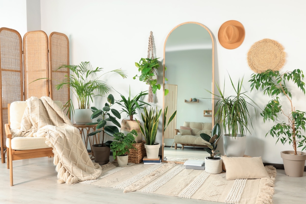 wooden furniture and hat decor in living room