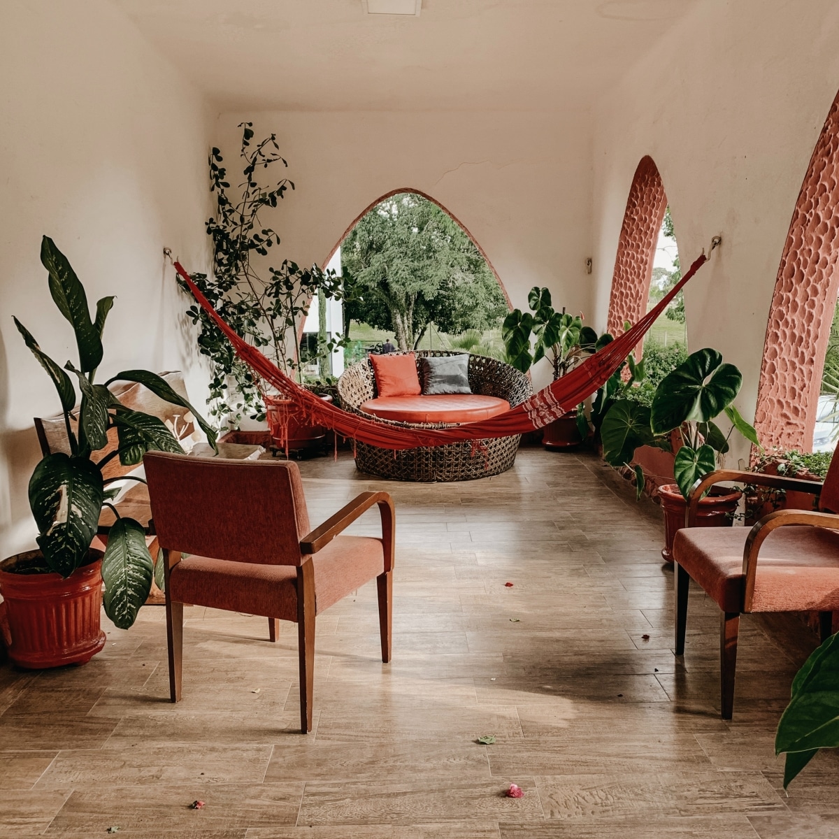 jungalow space with plants and hammock