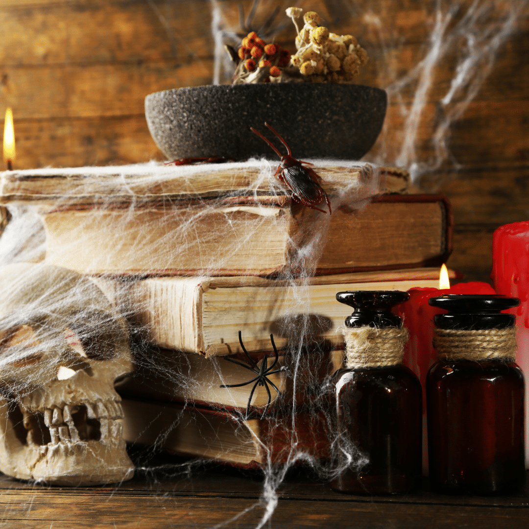 Realistic cobwebs used as decoration for Halloween.