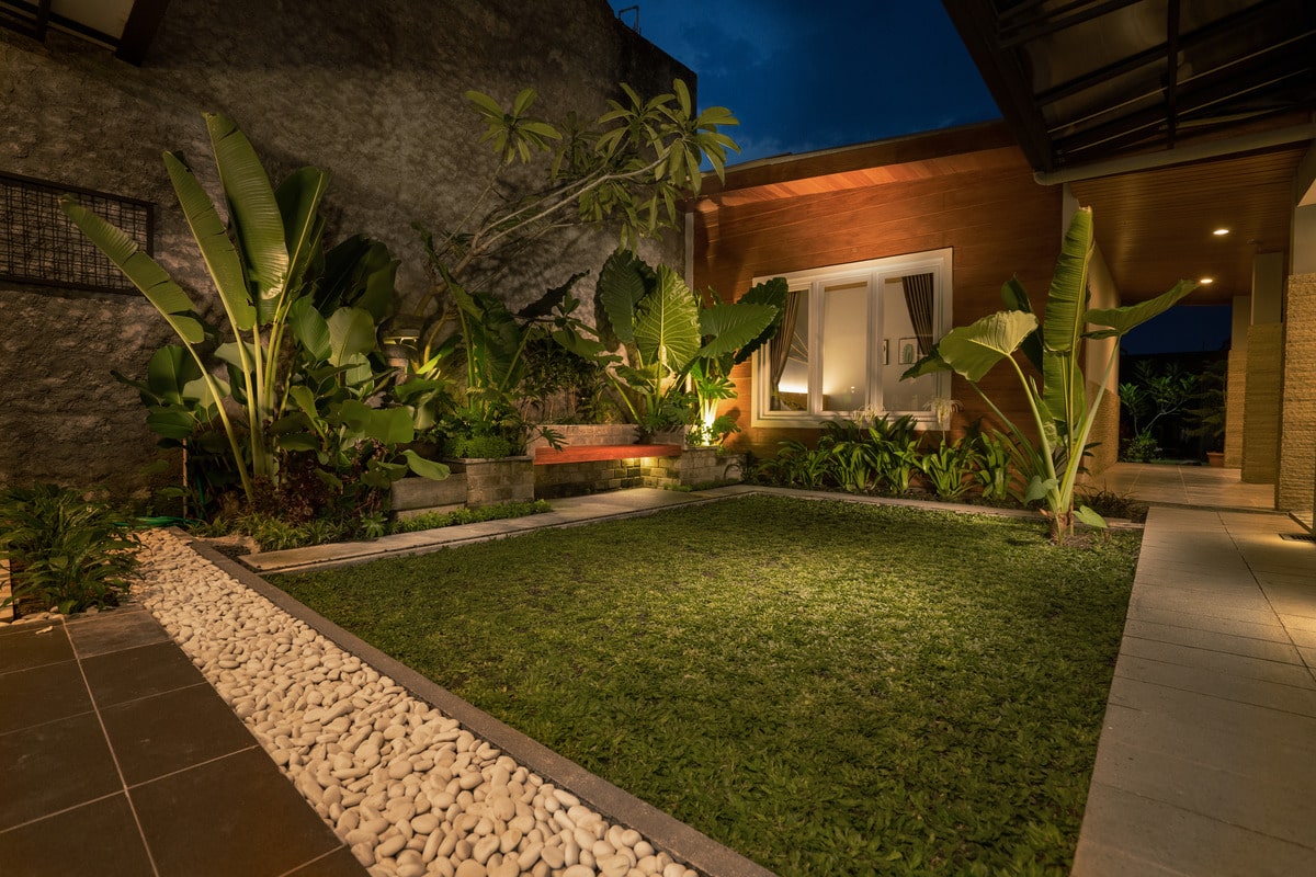 illuminated garden at night with various plants