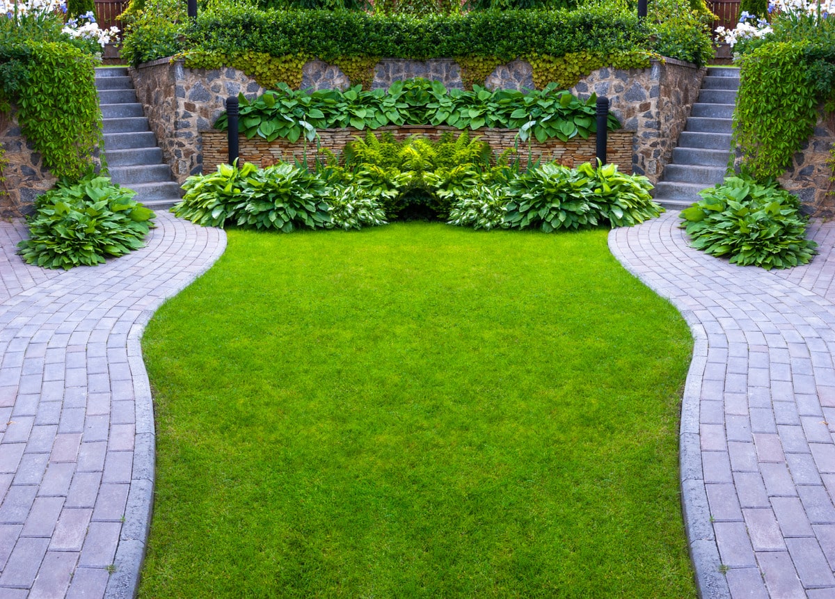 Two garden stone paths with grass growing up between the stones
