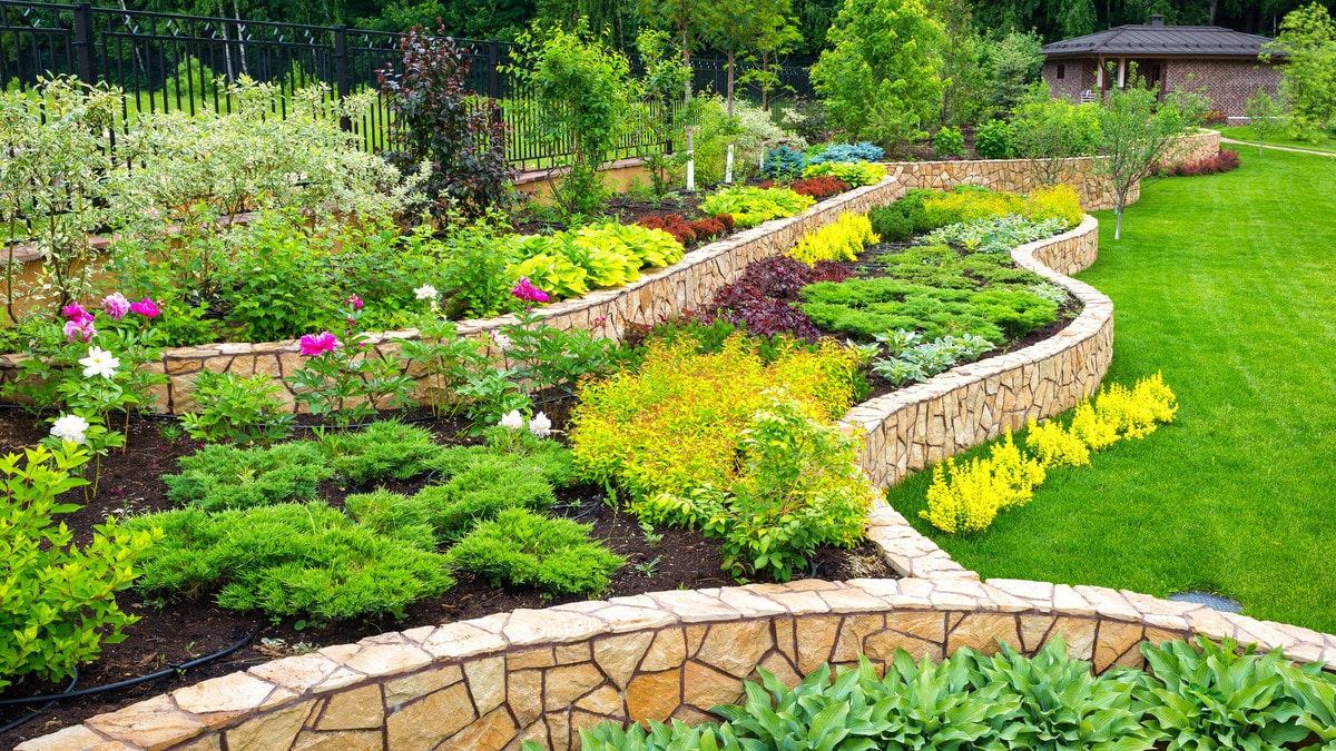 Scenic view of landscaped back yard of residential house with retaining walls, lawn, and plants.
