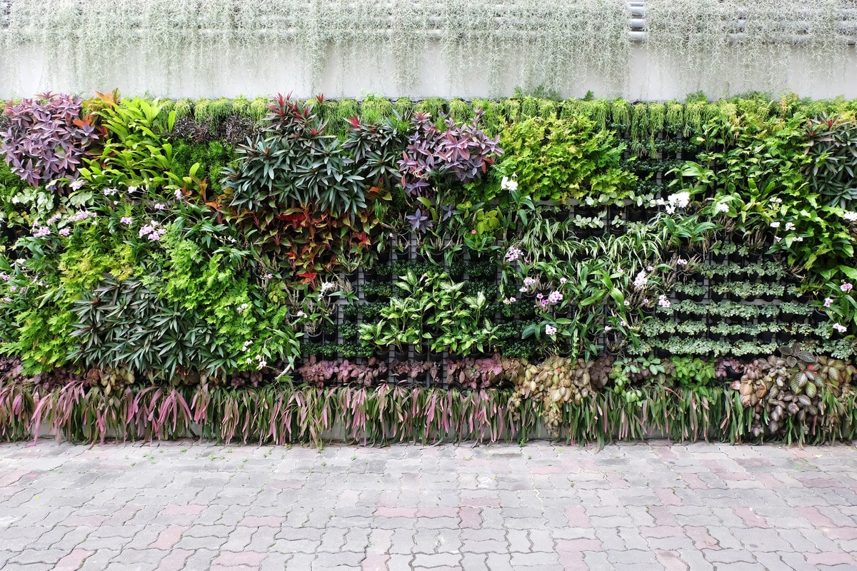 floral vertical garden