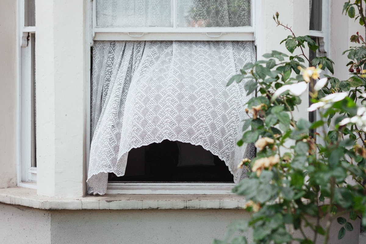 lace curtain by the window