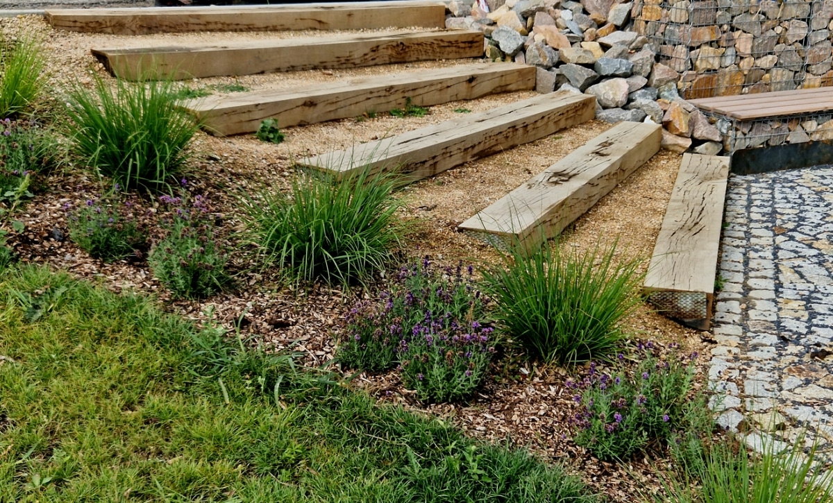 wood slab pathway