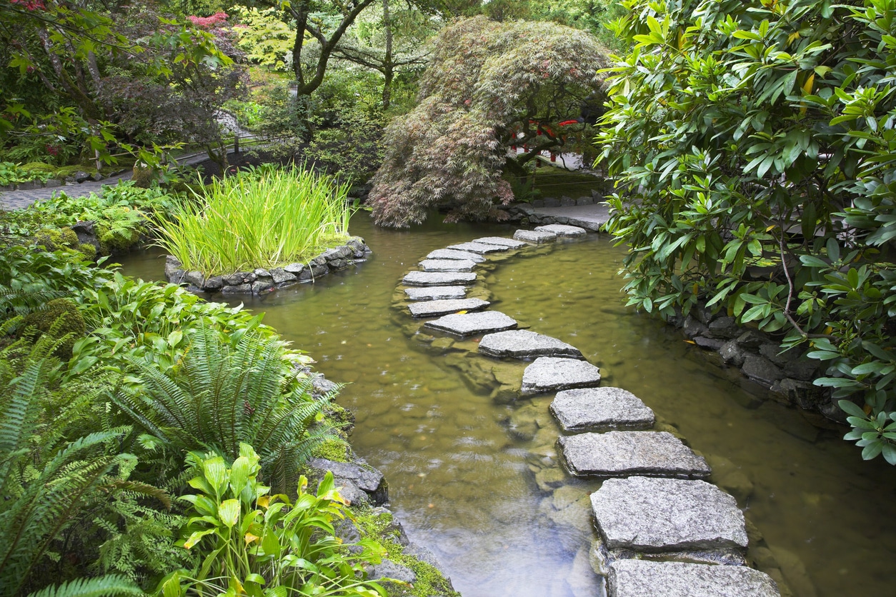garden pond footpath