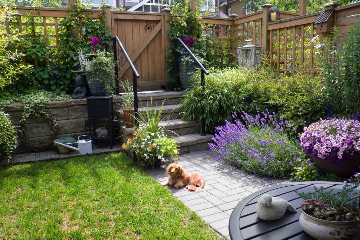 lounge area in garden patio