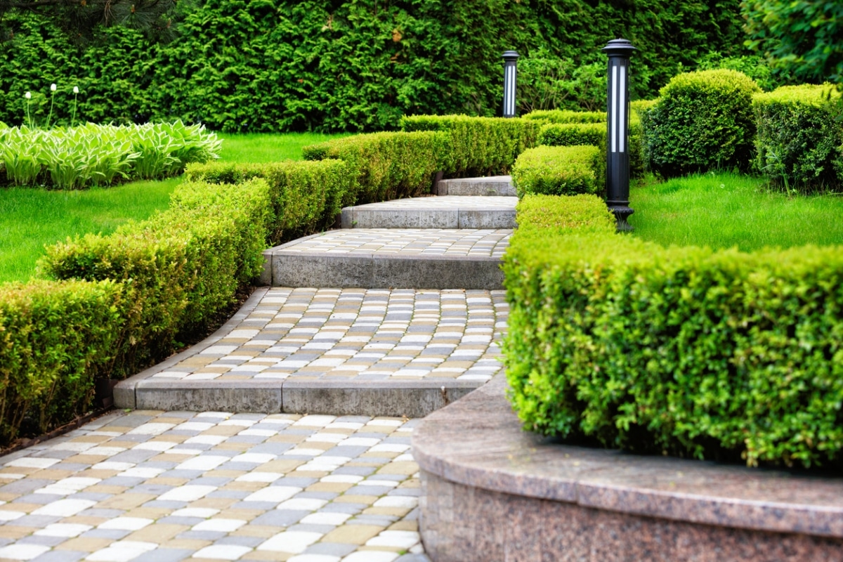 shrubbery lined cobblestone path