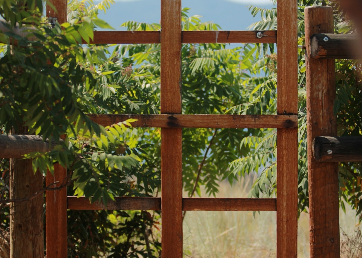 wood frame garden gate
