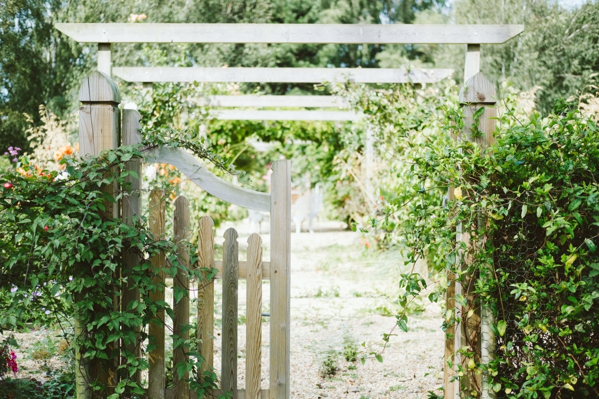 wooden gate hidden in greens