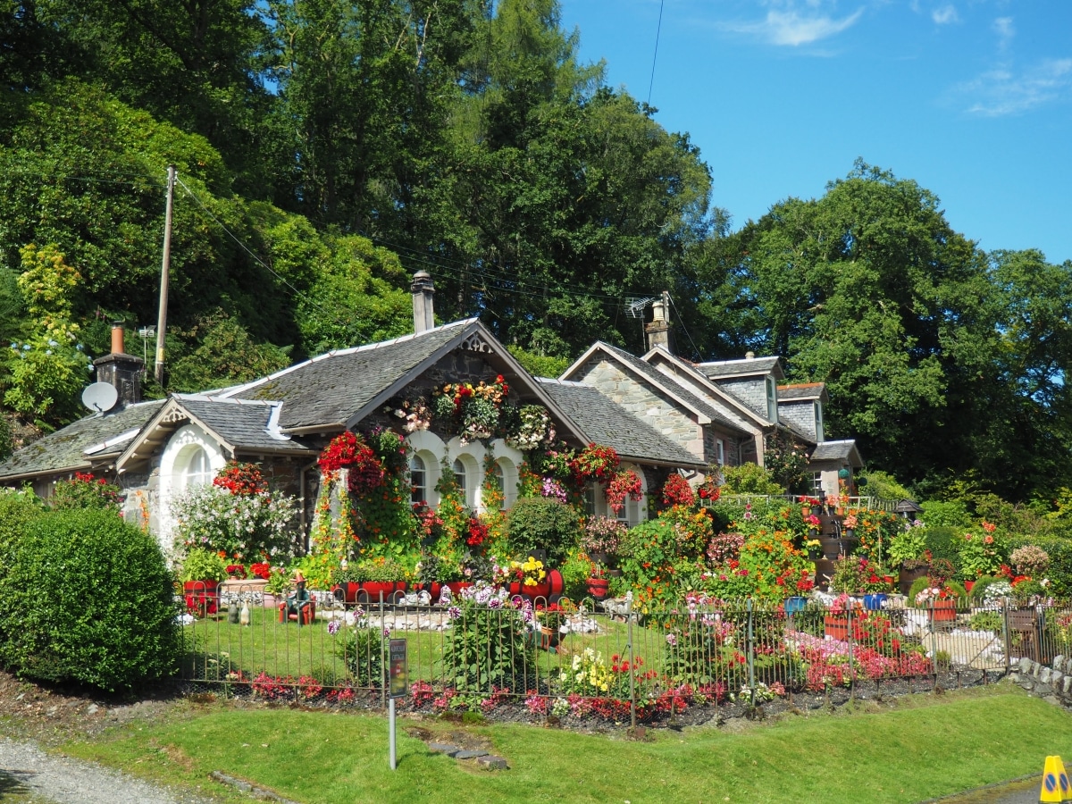 breathtaking flower-lined gate