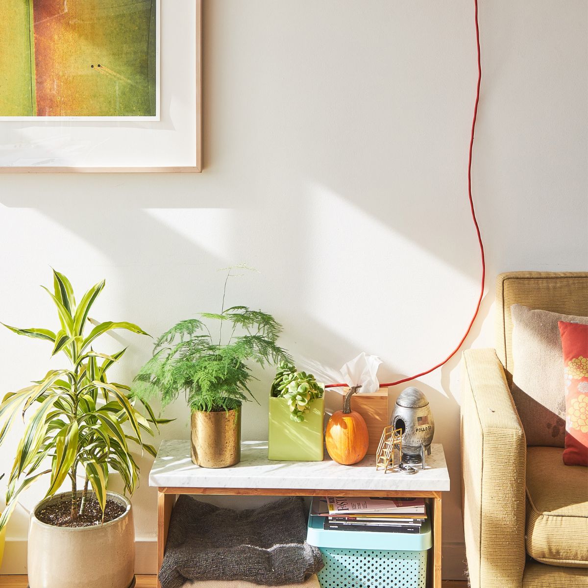 a sun-lit room with plants and other trinkets