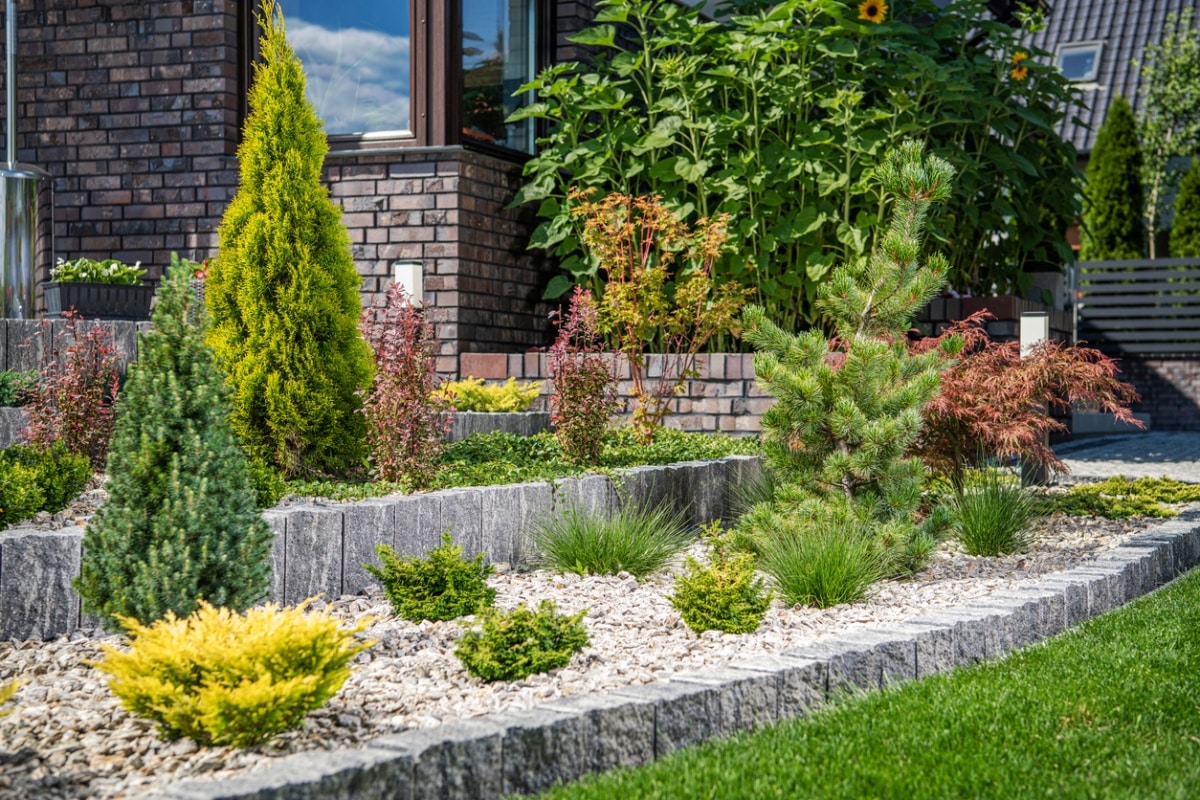 Young Backyard Rockery Garden with Small Plants
