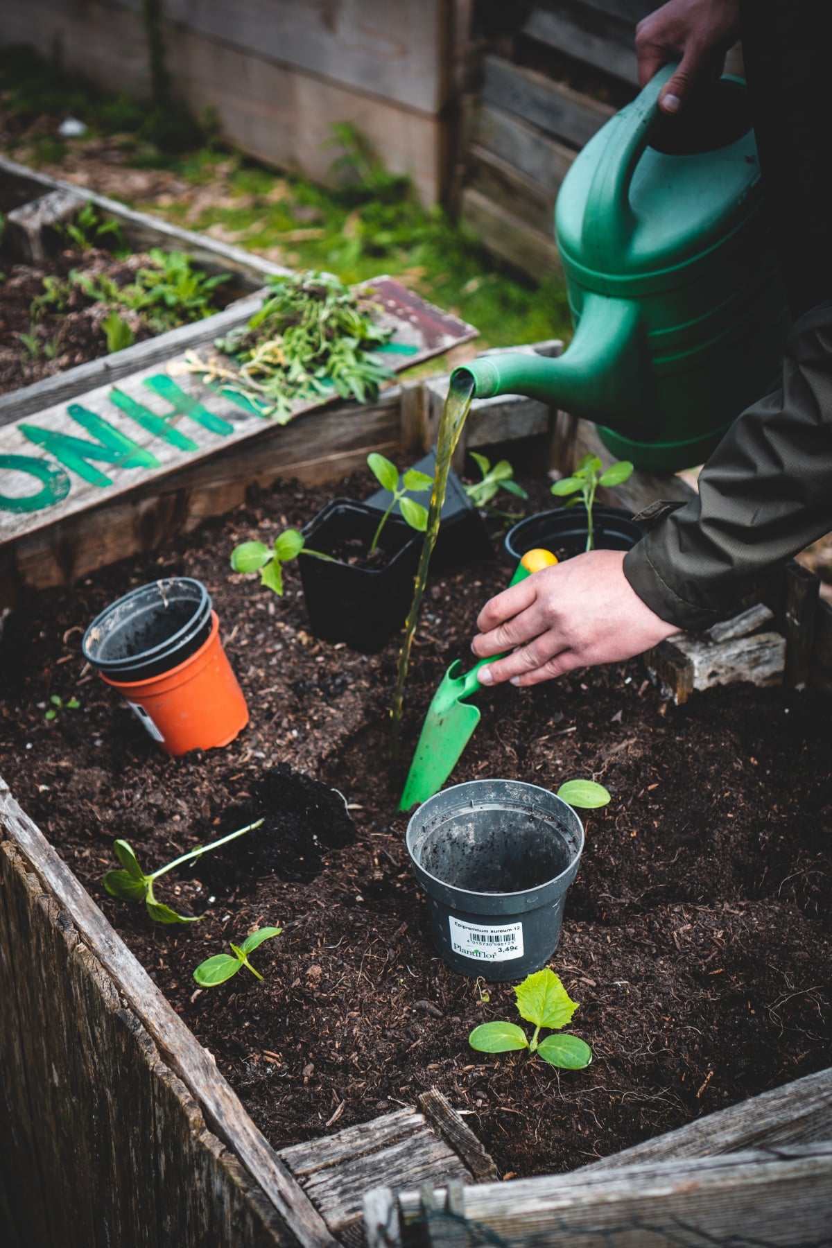 DIY garden for you and your kids