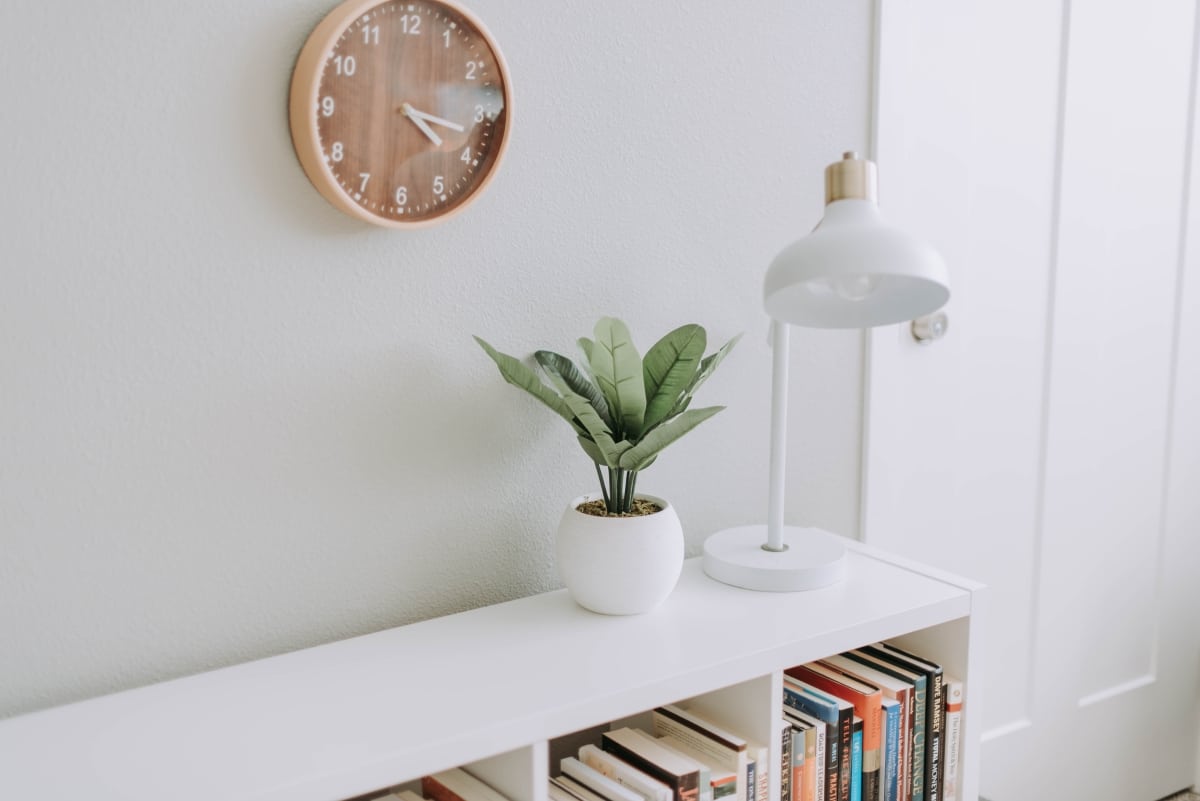 potted plant on hallway shelf