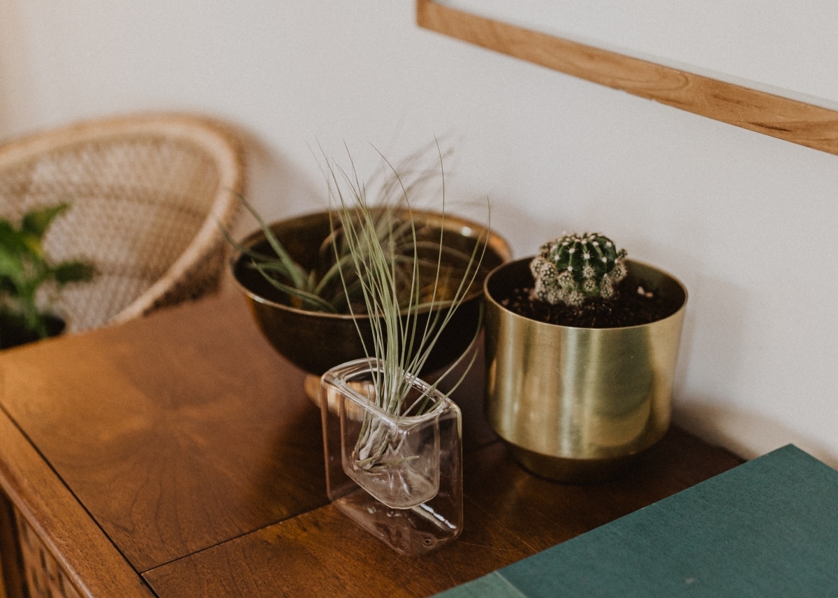 gold coloured plant pots