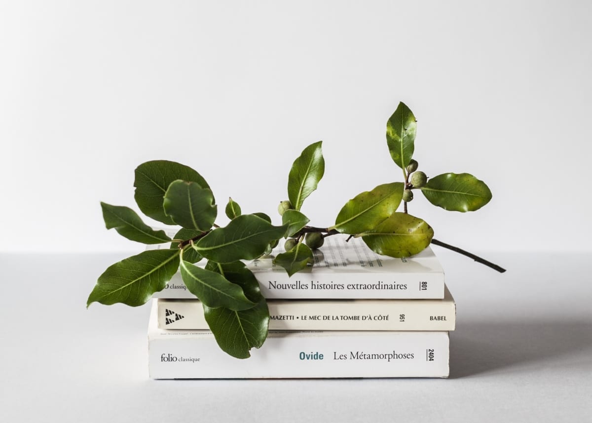 stacked books and a thing of leaves