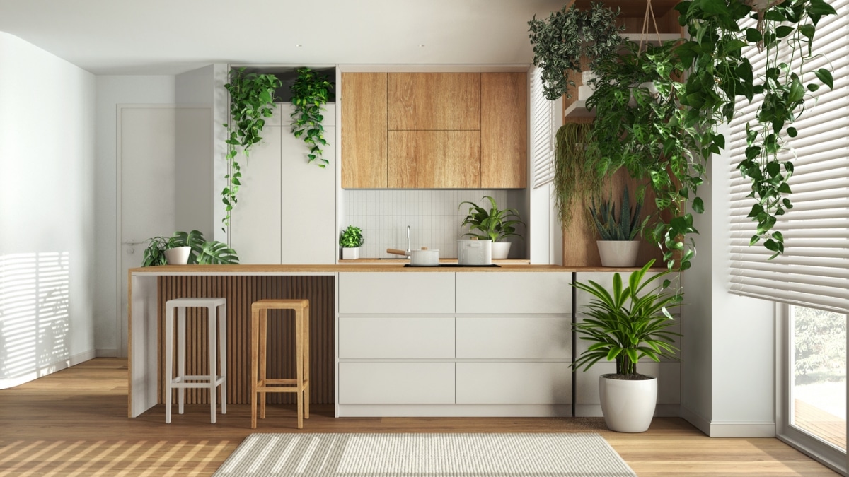 Modern kitchen with biophilic design elements.