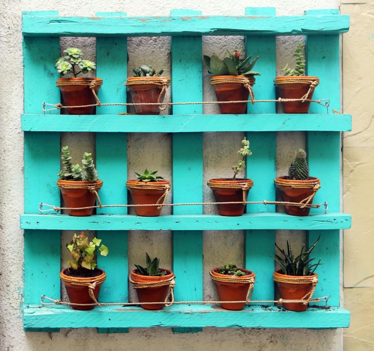 Decorative recycled turquoise pallet with pots, flowers and plants on an outdoors wall