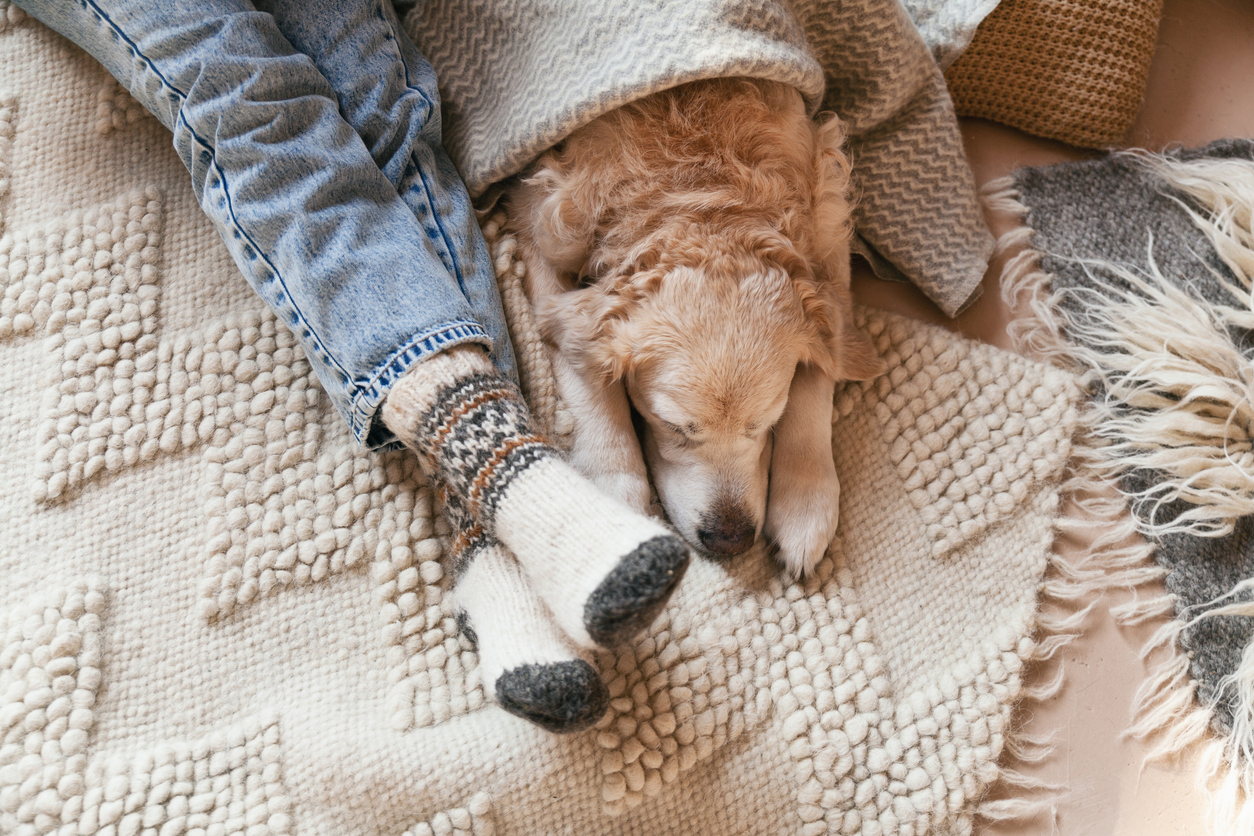 A woman wearing fuzzy socks, curled up beside her dog in a blanket.